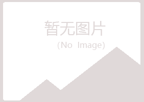 伊春带岭紫山能源有限公司